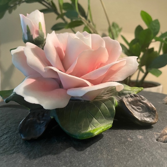 COMING SOON 🔥 Like this to get updates - Picture 5 of 16